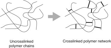 Pu Foaming Chemistry crosslink